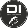 Damina Performance